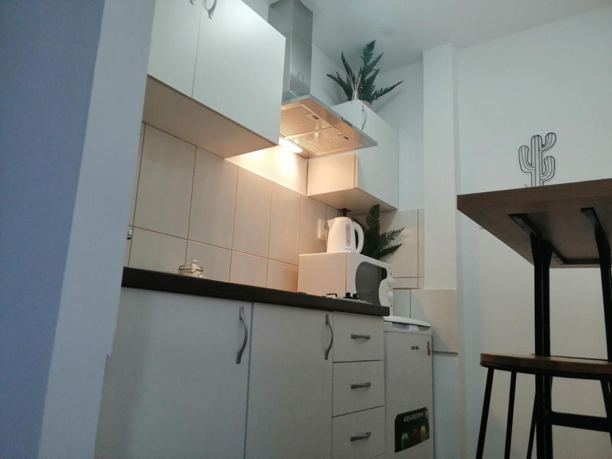 Bulevard Mansards Satu Mare Exterior foto